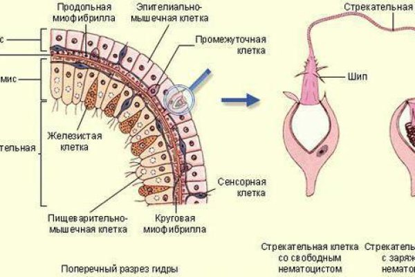 Кракен магазин тор