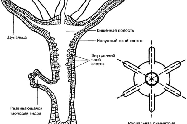 Кракен маркет это